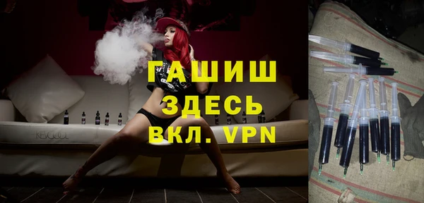 молекула духа Богданович