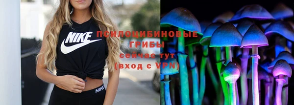 амф Майский