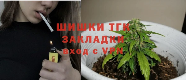ешки Липки