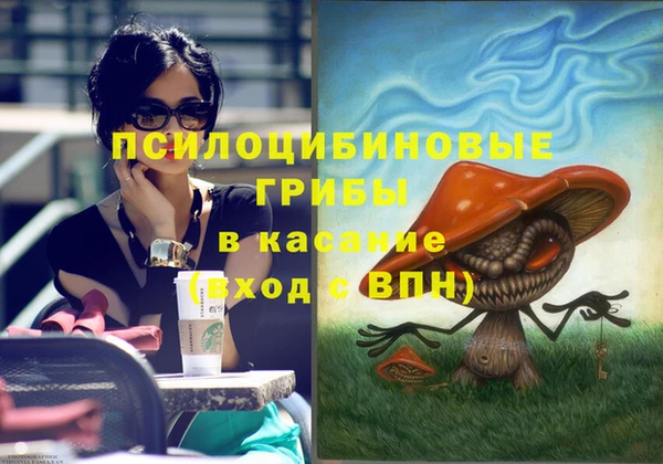 СК Богородицк