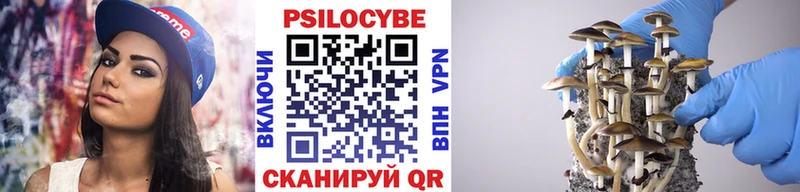хочу наркоту  Болгар  Галлюциногенные грибы мухоморы 